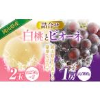 白桃とピオーネの詰合せ 約1kg