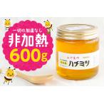 富津産ハチミツ600g