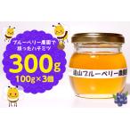 遠山ブルーベリー農園産ハチミツ300g