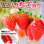 いちご狩り体験 チケット おとな2枚 小学生2枚