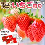 いちご狩り体験 チケット おとな2枚 いちご狩り