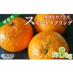 訳あり ワケアリ 果物 くだものミカン 蜜柑