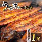 備長炭手焼き鰻 うなぎ 1尾