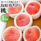 AE048 食べたら笑顔になる 島原育ちの桃 1Kg