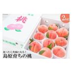 AE049 食べたら笑顔になる 島原育ちの桃 2Kg