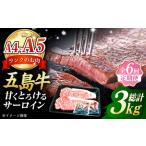 五島牛 サーロインステーキ500g 250g×2枚