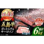 五島牛 サーロインステーキ500g 250g×2枚