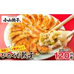 ふるさと納税 冷凍餃子専門店 小山餃子 ひとくち餃子 120個【配送不可地域：離島】【1259753】 栃木県小山市