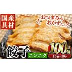 ふるさと納税 国産豚肉使用!手作りニンニク餃子(計100個・10個×10パック)国産 ギョウザ ぎょうざ お肉 にんにく おかず 惣菜 おつまみ.. 鹿児島県阿久根市