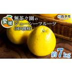 フルーツ 果物 かわちばんかん みかん ミカン