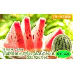 ふるさと納税 【先行予約2025年産】長谷川さんが作ったスイカ 1玉 約6〜8kg(品種:紅まくら)7月〜8月発送 青森県鰺ヶ沢町産 果物類 7〜8kg 青森県鰺ヶ沢町