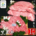 isa338 産黒毛和牛 伊佐黒王牛バラエティーBOX 計1kg