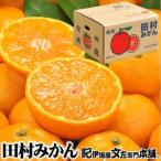 田村みかん サイズおまかせ 最高級プレミアムブランドの田…