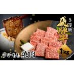 飛騨牛 うで もも 焼き肉用 計1kg