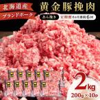 定期便 6ヵ月連続6回 豚ひき肉 あら挽き 200g