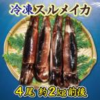 冷凍スルメイカ特大4本 2kg前後