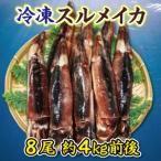 冷凍スルメイカ特大 8本