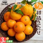 みかん 柑橘詰合せ 3.5kg