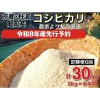 ふるさと納税 令和8年産【6回定期便】白米 コシヒカリ 5kg 精米 定期便 京都府亀岡市