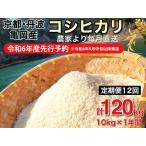 米 白米 定期便 10kg×12ヶ月