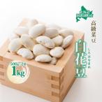 白花豆 高級菜豆