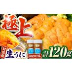 fu.... налог на лошадь производство сырой ..60g× 2 шт .. морской еж морепродукты морепродукты [WAA017] Nagasaki префектура на лошадь город 