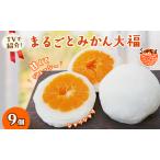 ふるさと納税 大福 まるごと みかん大福 詰め合わせ セット 三ヶ日みかん みかん フルーツ大福 和菓子 お菓子 菓子 スイーツ おやつ デザート ま.. 静岡県浜松市