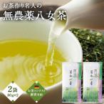 お茶作り名人の無農薬八女茶