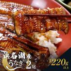 うなぎ 浜名湖産鰻蒲焼き2本セット 110g×2