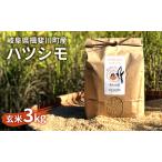 ハツシモ 自然米 玄米
