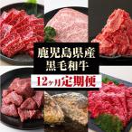 黒毛和牛 セット 定期便 12回