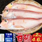 漁師直送 甘鯛 あまだい 2kg+おまかせ鮮魚