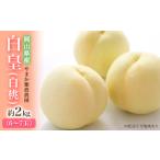 ふるさと納税 桃 【 2025年 先行予約 】 岡山県産 白皇 ( 白桃 ) 約2kg(6〜7玉) 白桃 岡山 はくとう フルーツ 果物 先行予約 数量限定 期間.. 岡山県里庄町