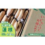 ショッピングふるさと納税 訳あり 不揃い ふるさと納税 【訳あり】鳴門市大津町産 蓮根（不揃い） 2kg 【数量限定】 レンコン 訳あり 野菜 レンコン 蓮根 シャキシャキ レンコン 野菜 天.. 徳島県鳴門市