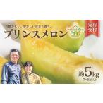ショッピングふるさと納税 先行予約 ふるさと納税 【先行予約】 メロン プリンスメロン 茨城県産 5kg 7~8玉 農家直送 果物 初夏 茨城県八千代町