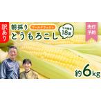 ふるさと納税 とうもろこし 訳あり 朝採れ ゴールドラッシュ 約 6kg 6月下旬発送開始 とうもろこし とうもろこし とうもろこし とうもろこし .. 茨城県八千代町