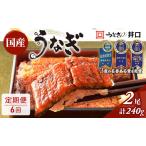 うなぎ 長蒲焼き 2尾