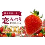 いちご 恋みのり 約250g×6パック