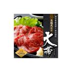 ふるさと納税 国産 馬刺し 高級 大トロ 希少部位「大帯」 約260g 馬肉 冷凍 熊本県高森町