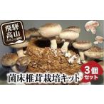 ふるさと納税 菌床椎茸栽培キット 3個セット | しいたけ シイタケ 椎茸 栽培キット 栽培 菌床 しいたけ菌 椎茸菌 夏休み 自由研究 飛騨高山きの.. 岐阜県高山市