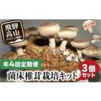 定期便 菌床椎茸栽培キット 3個×全4回
