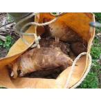 fu.... налог Wakayama производство утро ...4kg (.. имеется ) товар вид |.. бамбук Wakayama префектура Wakayama город 