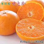 一度は食べていただきたい 有田産のせとか