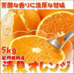 とにかくジューシー清見オレンジ 5kg