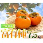和歌山秋の味覚 富有柿 約7.5kg