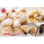 \漁業者応援品 ボイルベビーホタテ1kg