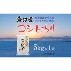 無洗米 魚沼産 コシヒカリ 5kg