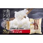 ショッピングふるさと納税 定期便 ふるさと納税 【定期便 毎月発送 12回】魚沼産 コシヒカリ 2kg 特別栽培米  魚沼の宝物 嘉六 農家のこだわり 新潟県 十日町市 こしひかり お米.. 新潟県十日町市