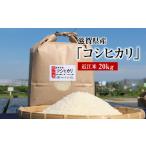 令和8年度産 近江米 コシヒカリ 20kg