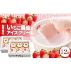 いちご農園のアイスクリーム12個パック
